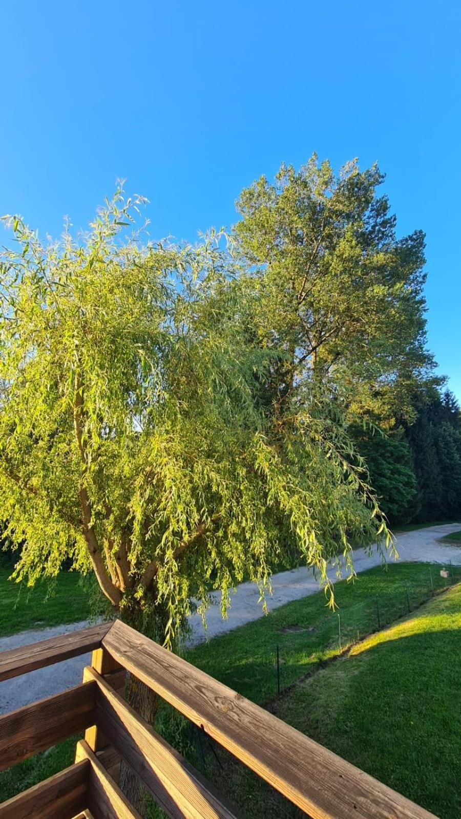 דירות Nods Sous Le Saule מראה חיצוני תמונה